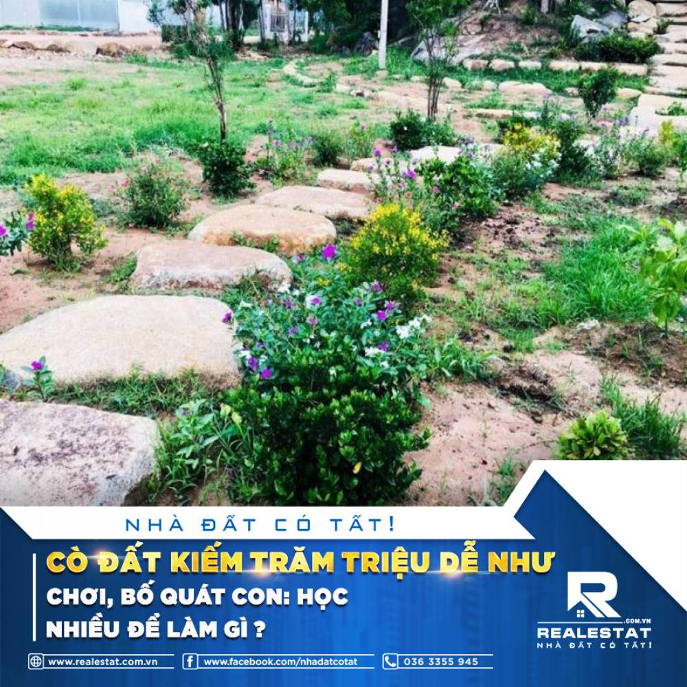 CÒ ĐẤT KIẾM TRĂM TRIỆU DỄ NHƯ CHƠI, BỐ QUÁT CON: HỌC NHIỀU ĐỂ LÀM GÌ?