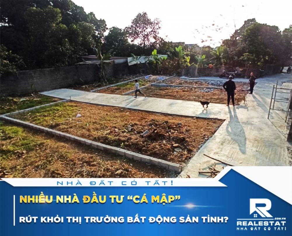 Nhiều nhà đầu tư “cá mập” rút khỏi thị trường bất động sản tỉnh?