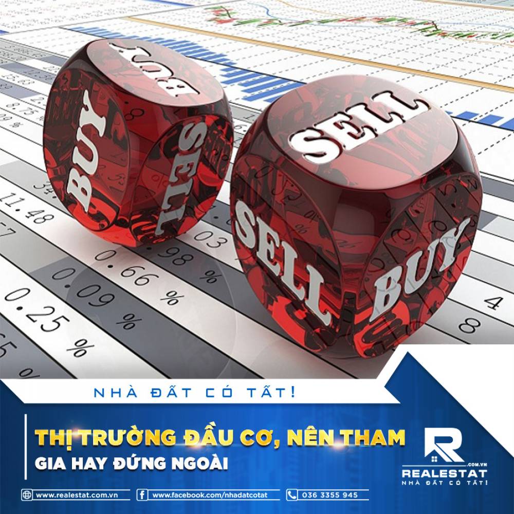 THỊ TRƯỜNG ĐẦU CƠ, NÊN THAM GIA HAY ĐỨNG NGOÀI?