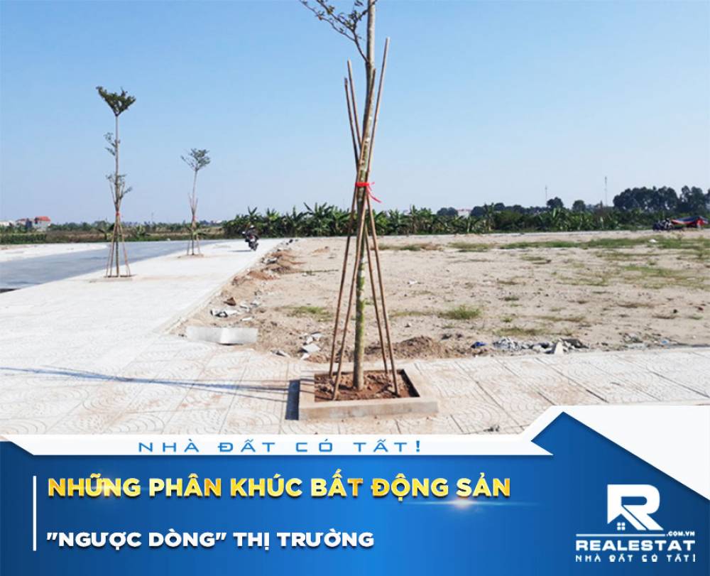 Những phân khúc bất động sản "ngược dòng" thị trường