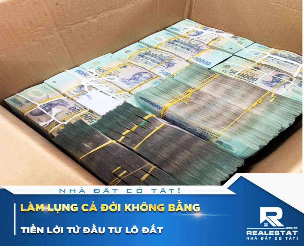 Làm lụng cả đời không bằng tiền lời từ đầu tư lô đất
