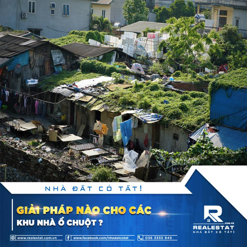 GIẢI PHÁP NÀO CHO CÁC KHU NHÀ Ổ CHUỘT?