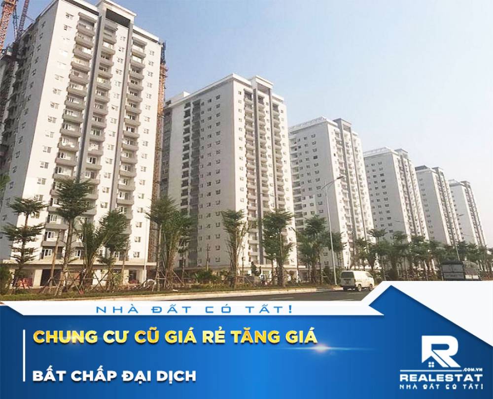 Chung cư cũ giá rẻ tăng giá bất chấp đại dịch
