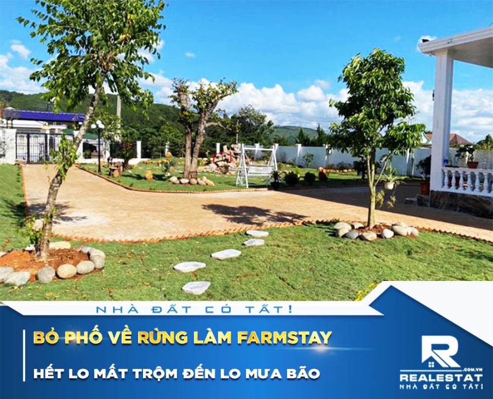Bỏ phố về rừng làm farmstay: Hết lo mất trộm đến lo mưa bão