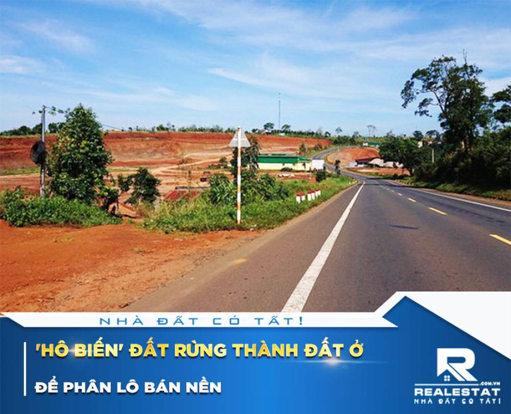 'Hô biến' đất rừng thành đất ở để phân lô bán nền