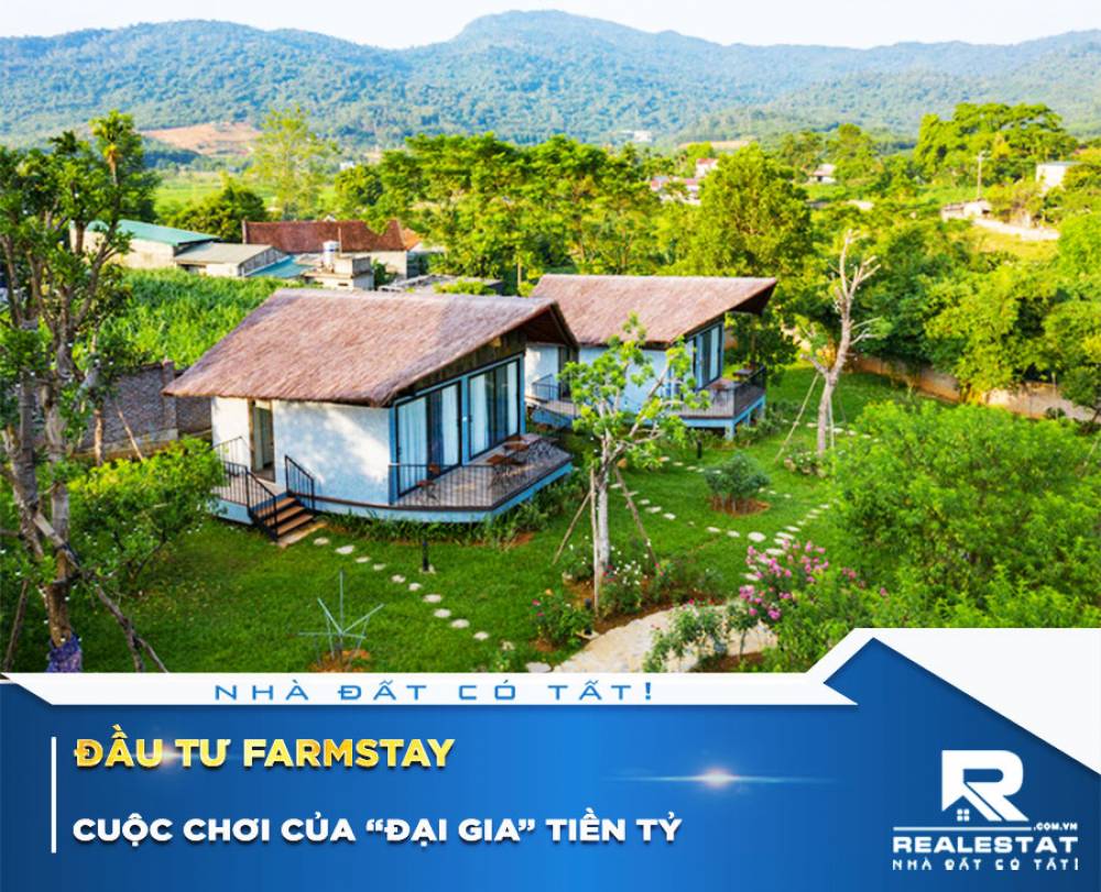 Đầu tư farmstay: Cuộc chơi của “đại gia” tiền tỷ