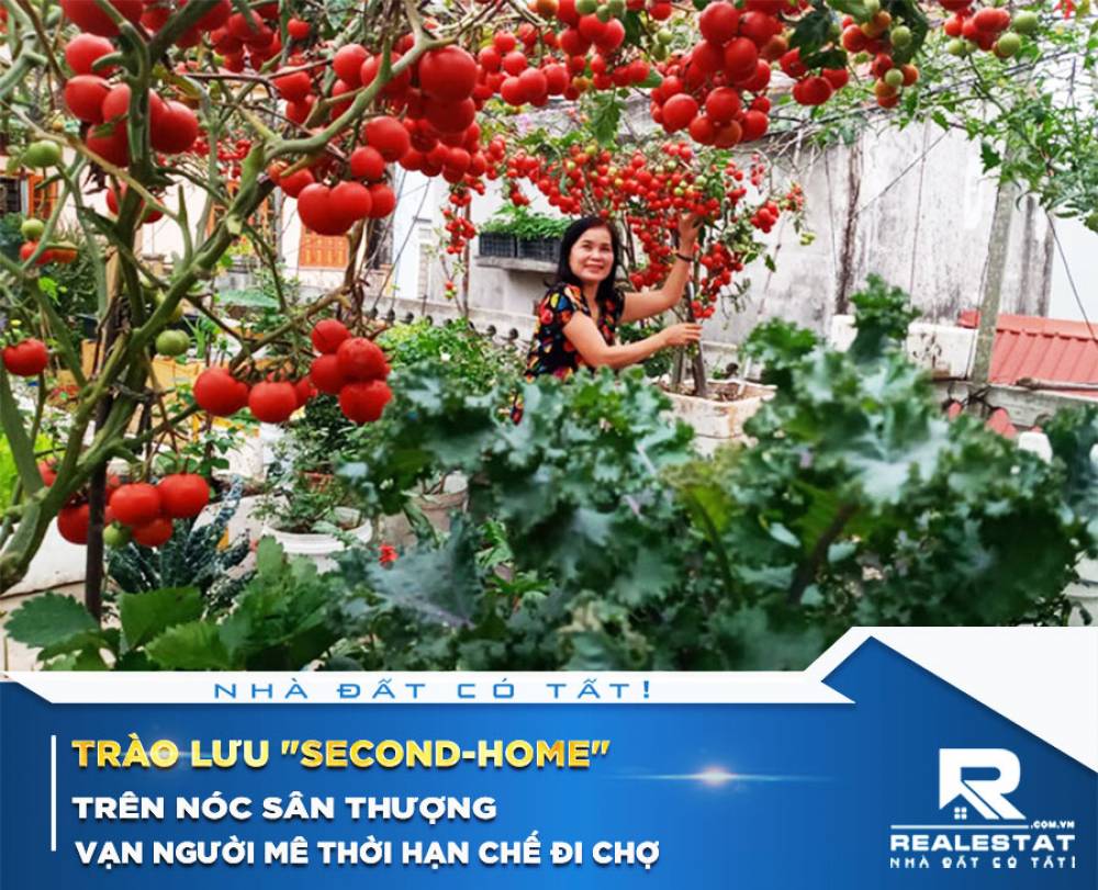 Trào lưu "second-home" trên nóc sân thượng vạn người mê thời hạn chế đi chợ