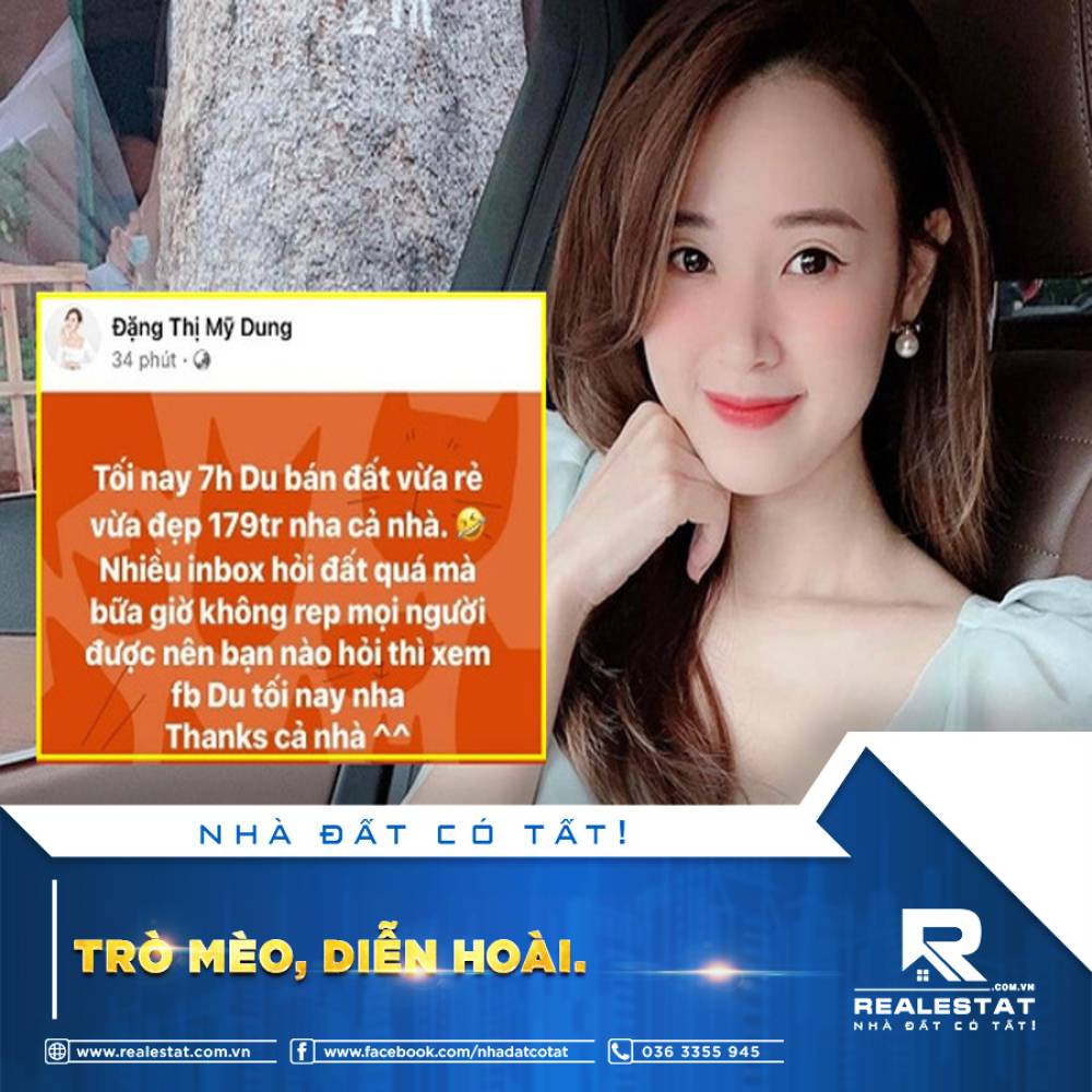 TRÒ MÈO, DIỄN HOÀI.