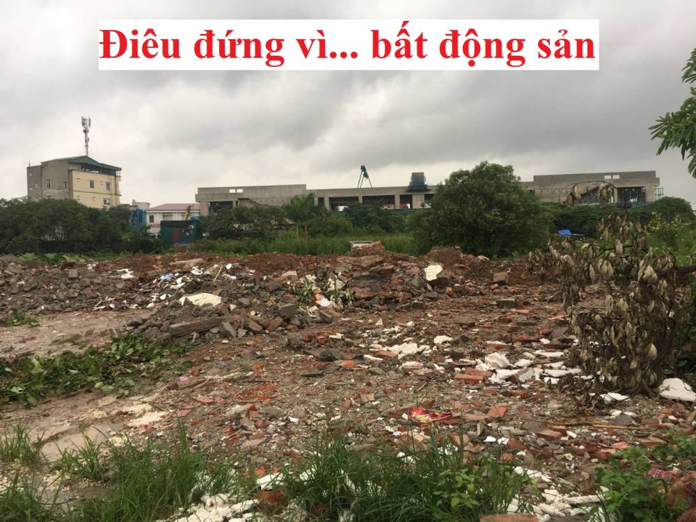 Điêu đứng vì... bất động sản