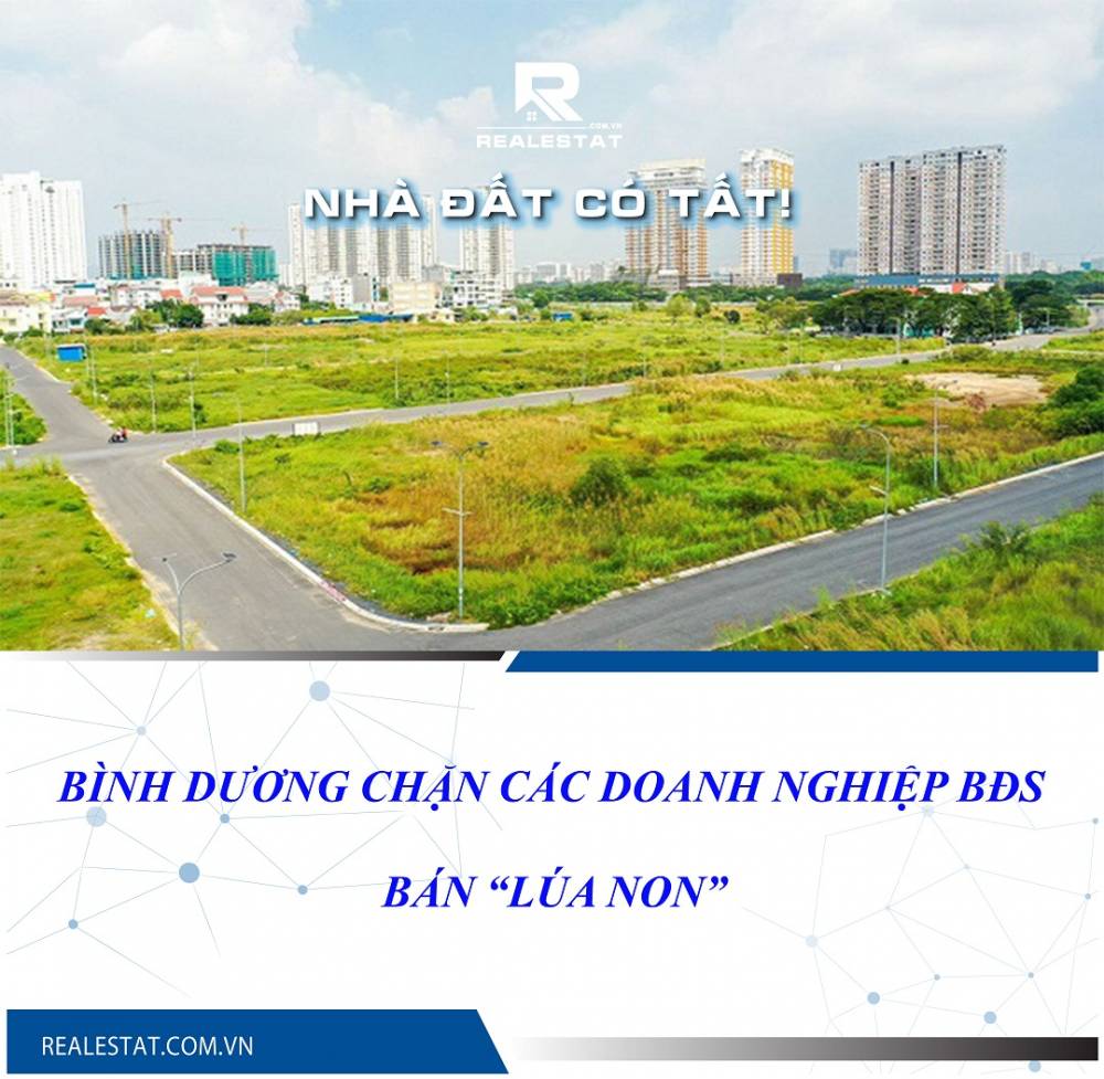 Bình Dương chặn các doanh nghiệp bất động sản bán “lúa non”