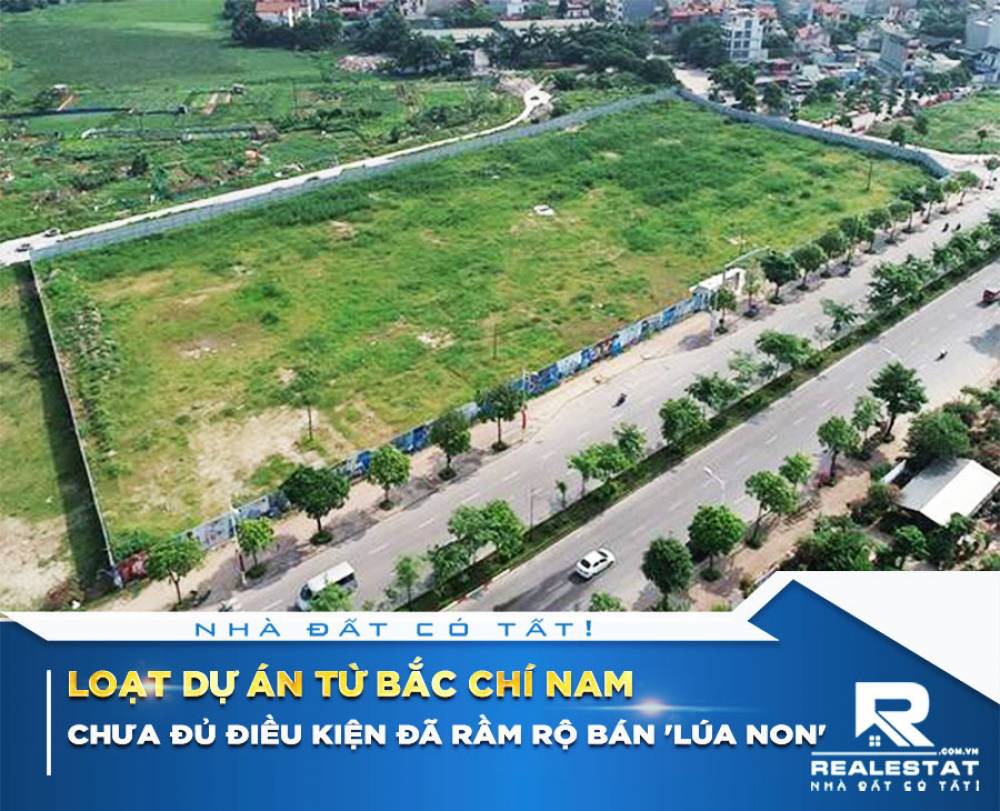 Loạt dự án từ Bắc chí Nam chưa đủ điều kiện đã rầm rộ bán 'lúa non'