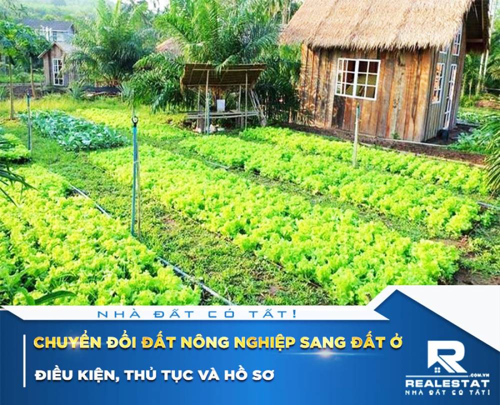 Chuyển đổi đất nông nghiệp sang đất ở: Điều kiện, thủ tục và hồ sơ