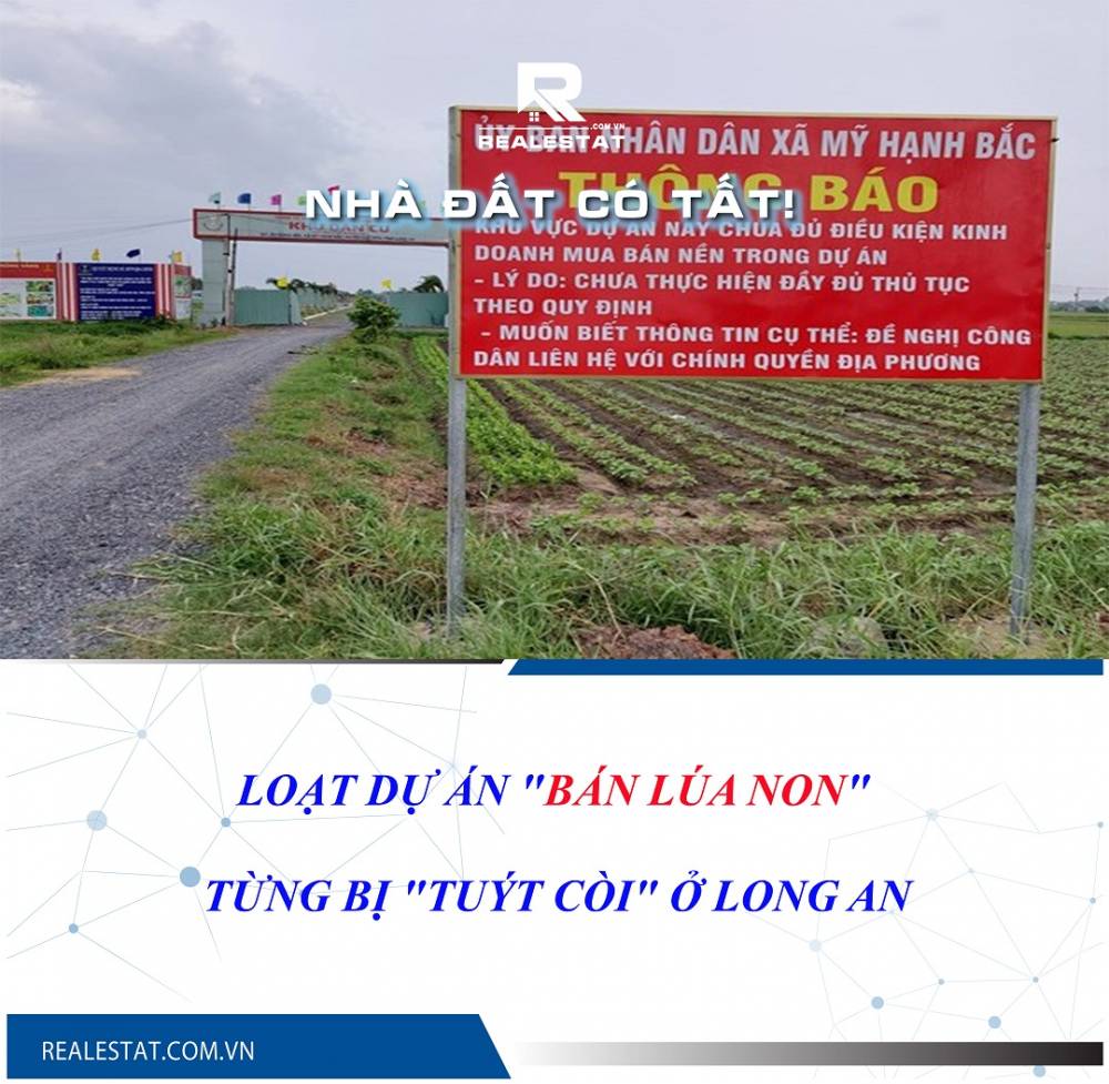 Loạt dự án "bán lúa non" từng bị "tuýt còi" ở Long An