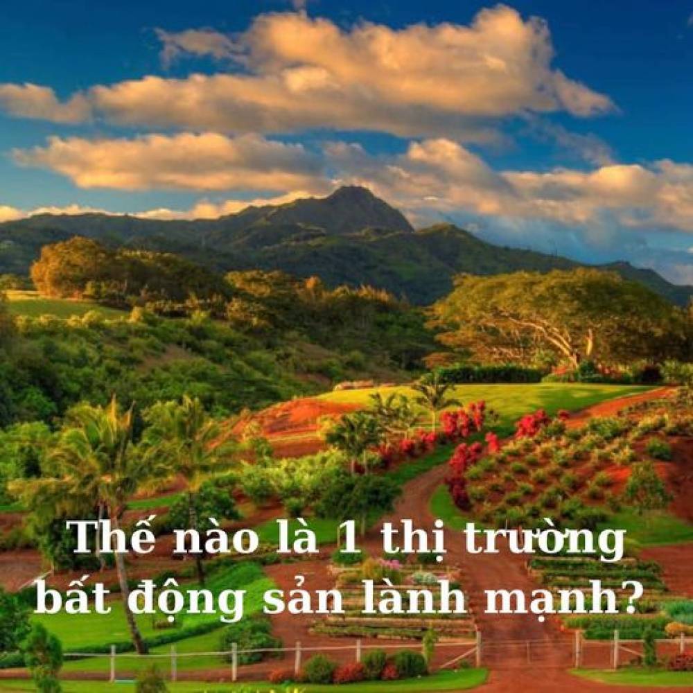 Thế nào là 1 thị trường bất động sản lành mạnh?