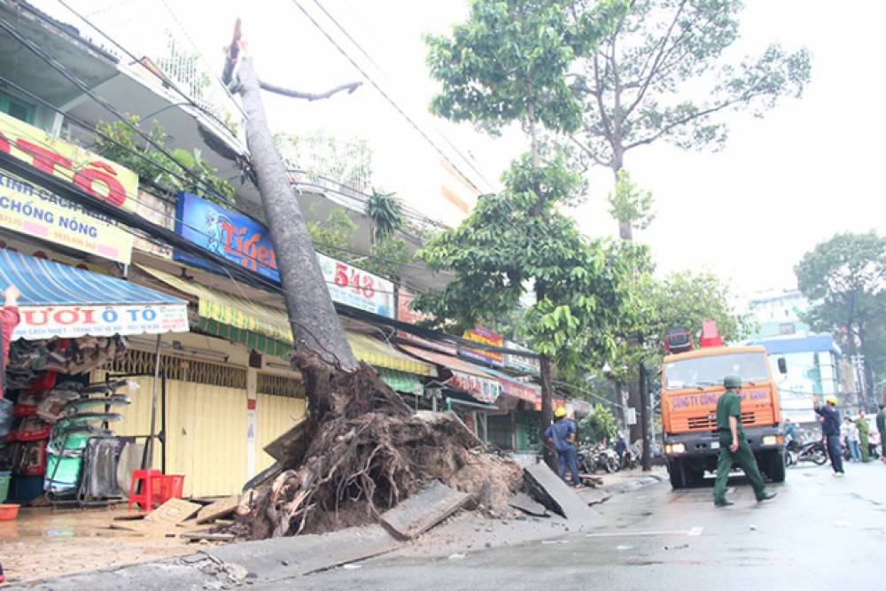 Những lưu ý khi đi chọn nhà