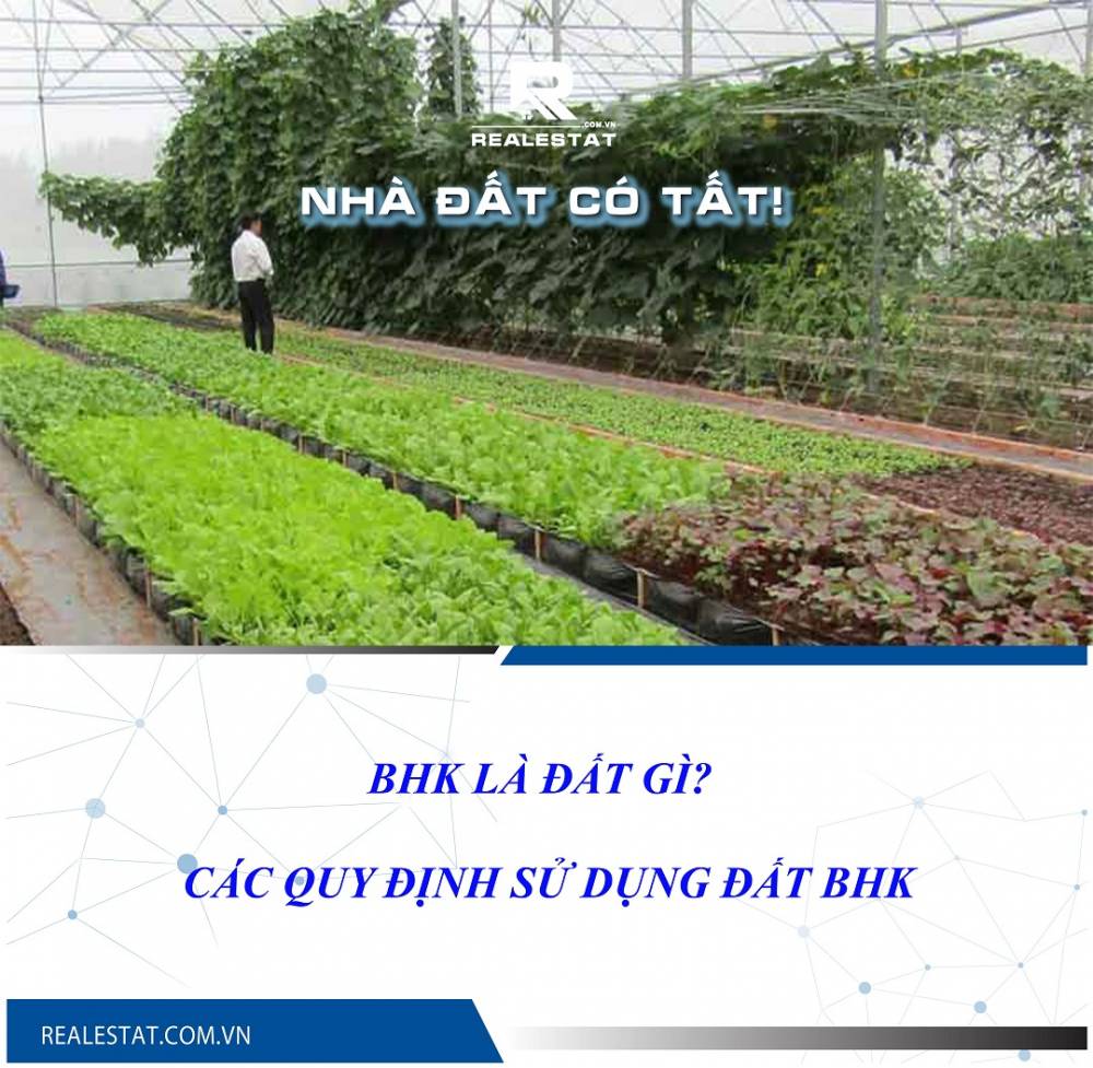BHK là đất gì? Các quy định sử dụng đất BHK