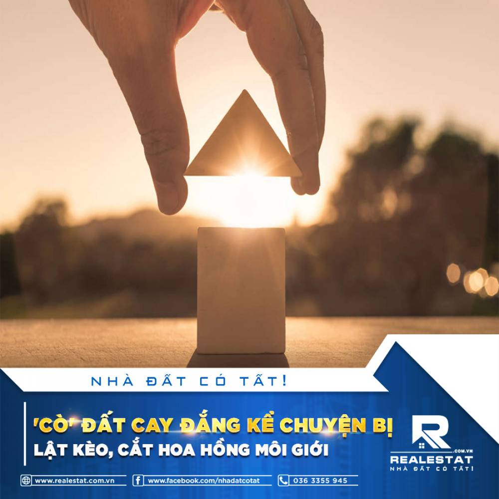 'CÒ' ĐẤT CAY ĐẮNG KỂ CHUYỆN BỊ LẬT KÈO, CẮT HOA HỒNG MÔI GIỚI