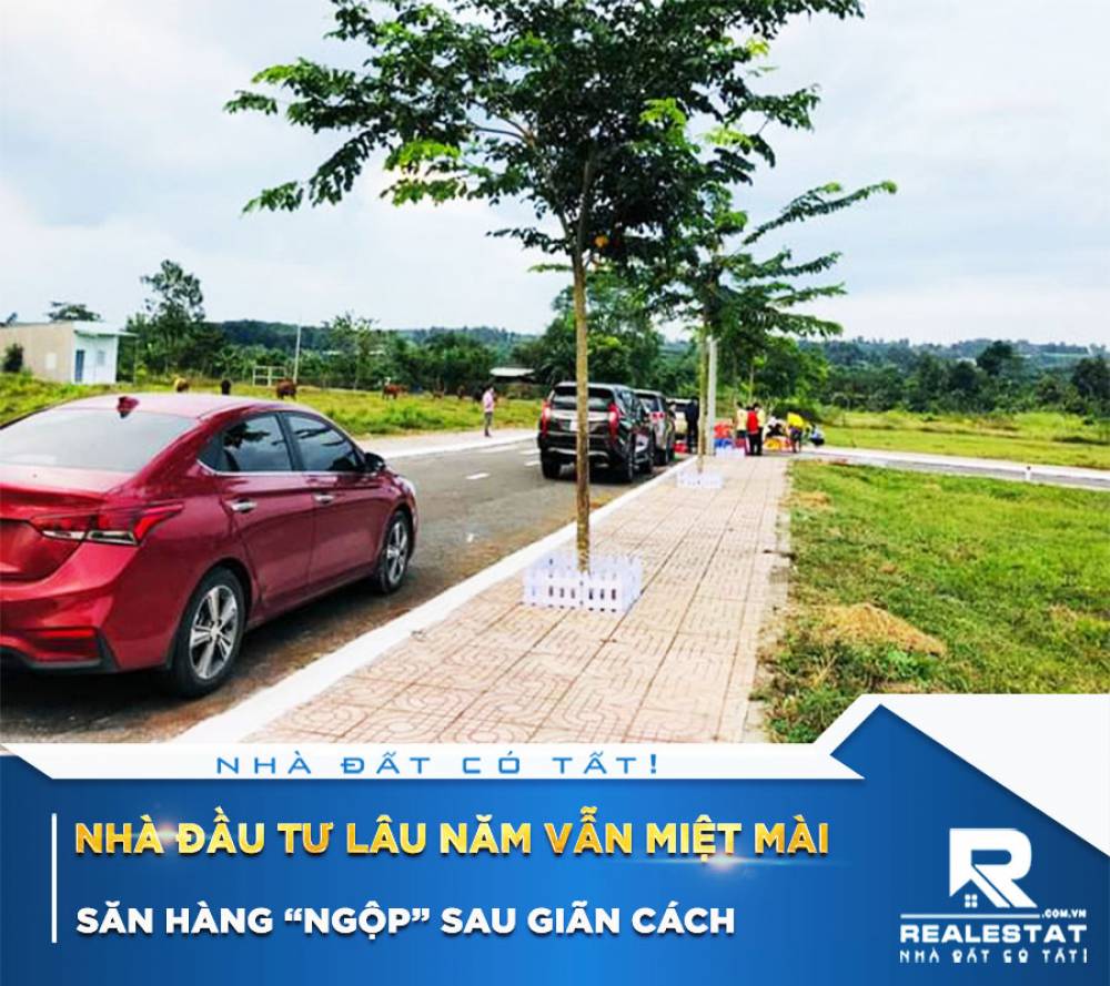 Nhà đầu tư lâu năm vẫn miệt mài săn hàng “ngộp” sau giãn cách