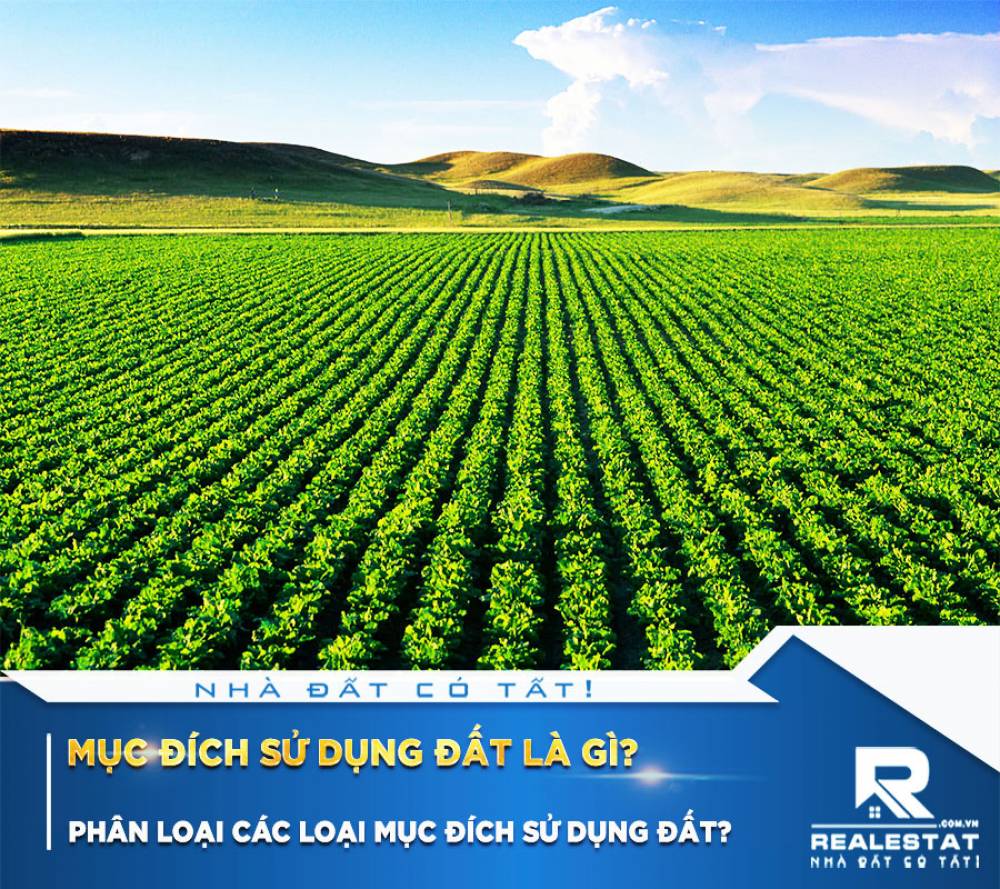Mục đích sử dụng đất là gì? Phân loại các loại mục đích sử dụng đất?