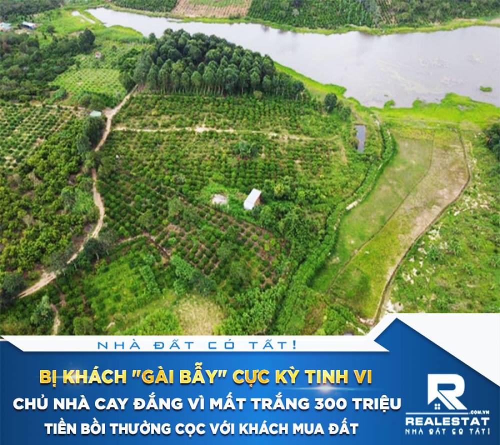 Bị khách "gài bẫy" cực kỳ tinh vi, chủ nhà cay đắng vì mất trắng 300 triệu tiền bồi thường cọc với khách mua đất