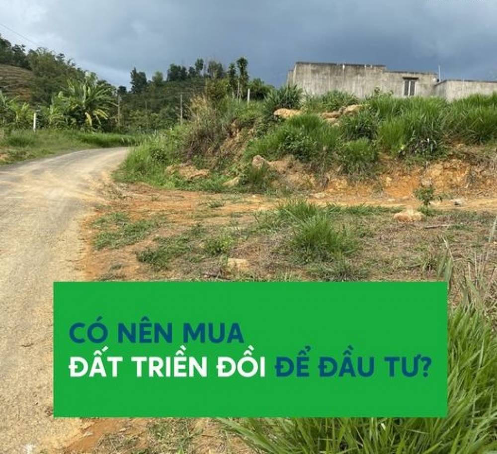 Có nên mua đất đồi để đầu tư