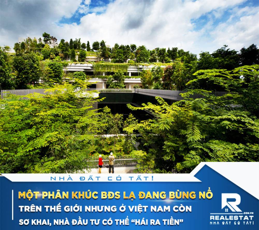 Một phân khúc BĐS lạ đang bùng nổ trên thế giới nhưng ở Việt Nam còn sơ khai, nhà đầu tư có thể “hái ra tiền”