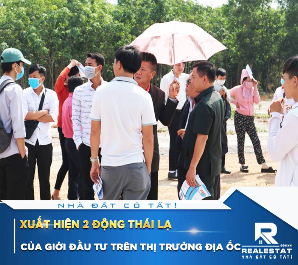 Xuất hiện 2 động thái lạ của giới đầu tư trên thị trường địa ốc