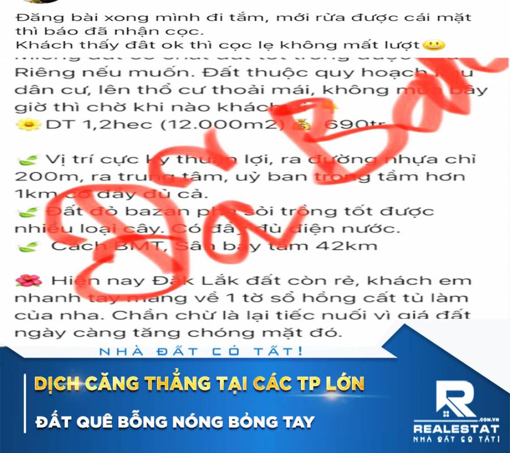 Dịch căng thẳng tại các TP lớn, đất quê bỗng nóng bỏng tay: Vài trăm triệu mua cả ngàn m2, chưa kịp rao đã có người cọc