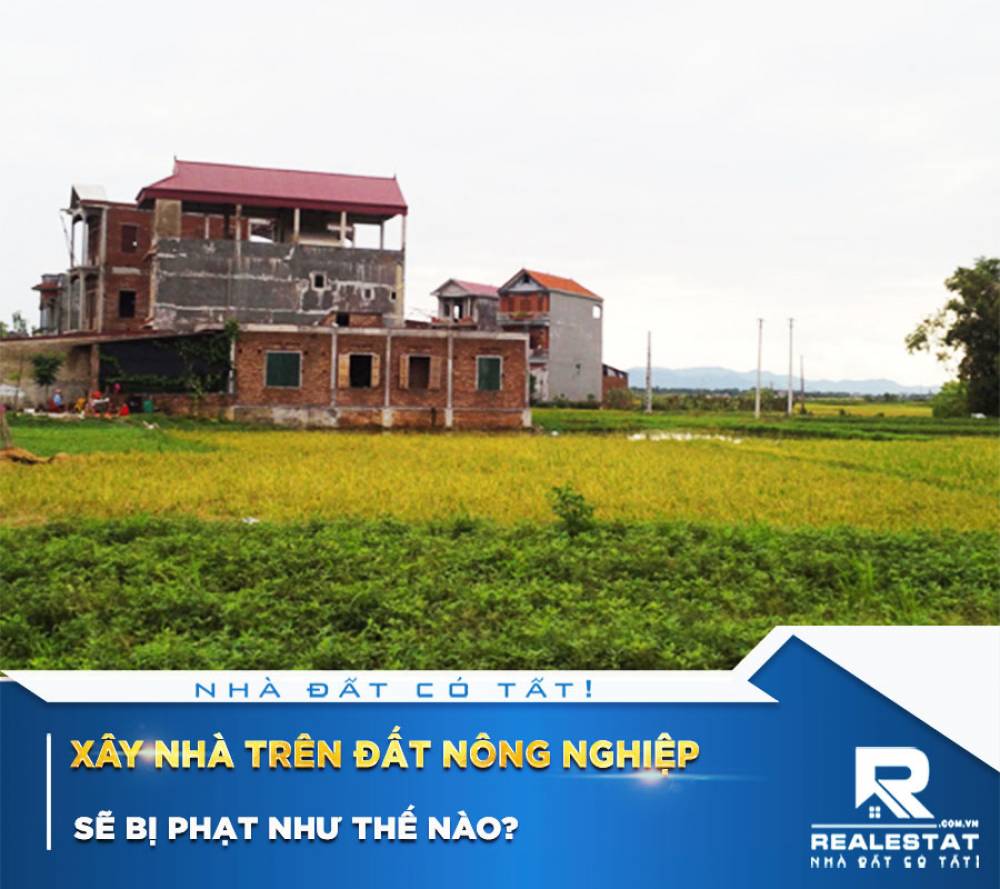 Xây nhà trên đất nông nghiệp sẽ bị phạt như thế nào?