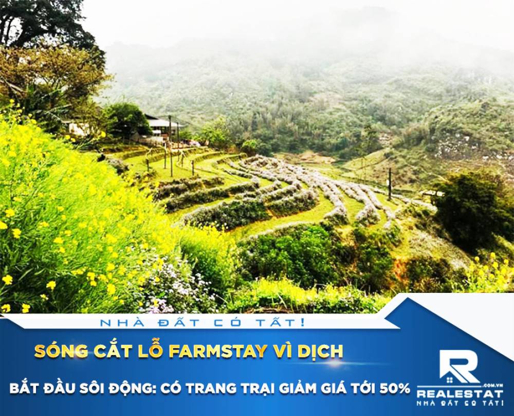 Sóng cắt lỗ farmstay vì dịch bắt đầu sôi động: Có trang trại giảm giá tới 50%