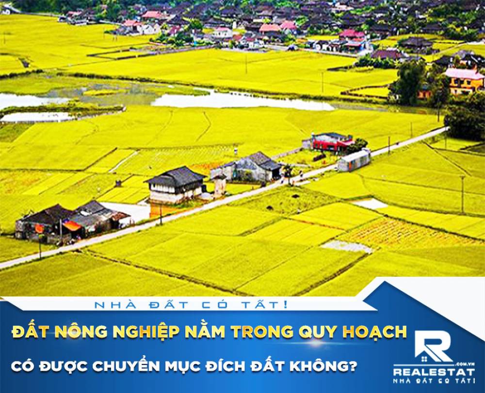 Đất nông nghiệp nằm trong quy hoạch có được chuyển mục đích đất không?
