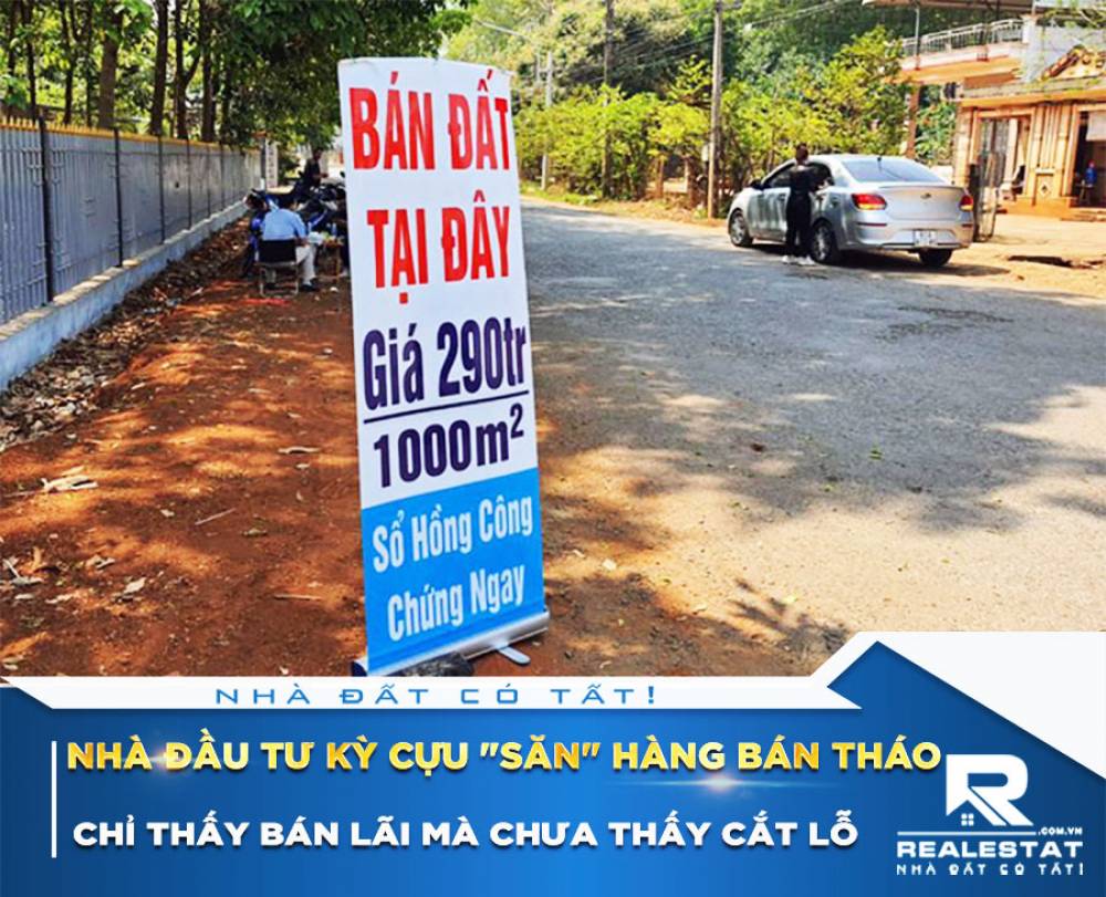 Nhà đầu tư kỳ cựu "săn" hàng bán tháo: “Chỉ thấy bán lãi mà chưa thấy cắt lỗ”