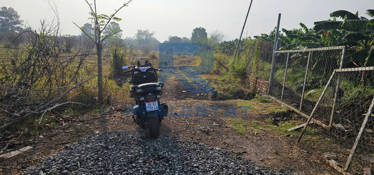 10.090m2 Đất Cách Chợ Sông Trầu 1.8km Trảng Bom - Giá 25 Tỷ