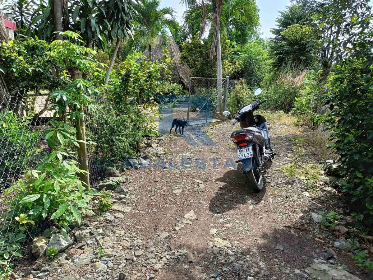 5300m2 Đất Cách ĐT765 Xuân Tây Cẩm Mỹ 4.5km - Giá 2.8 Tỷ