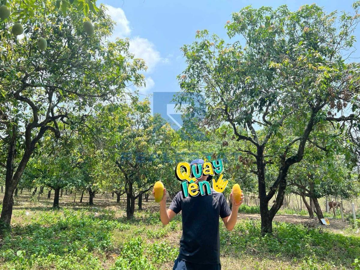 6107m2 Đất View Mặt Tiền Hồ Trị An Phú Lý Vĩnh Cữu - Giá 9.7 Tỷ