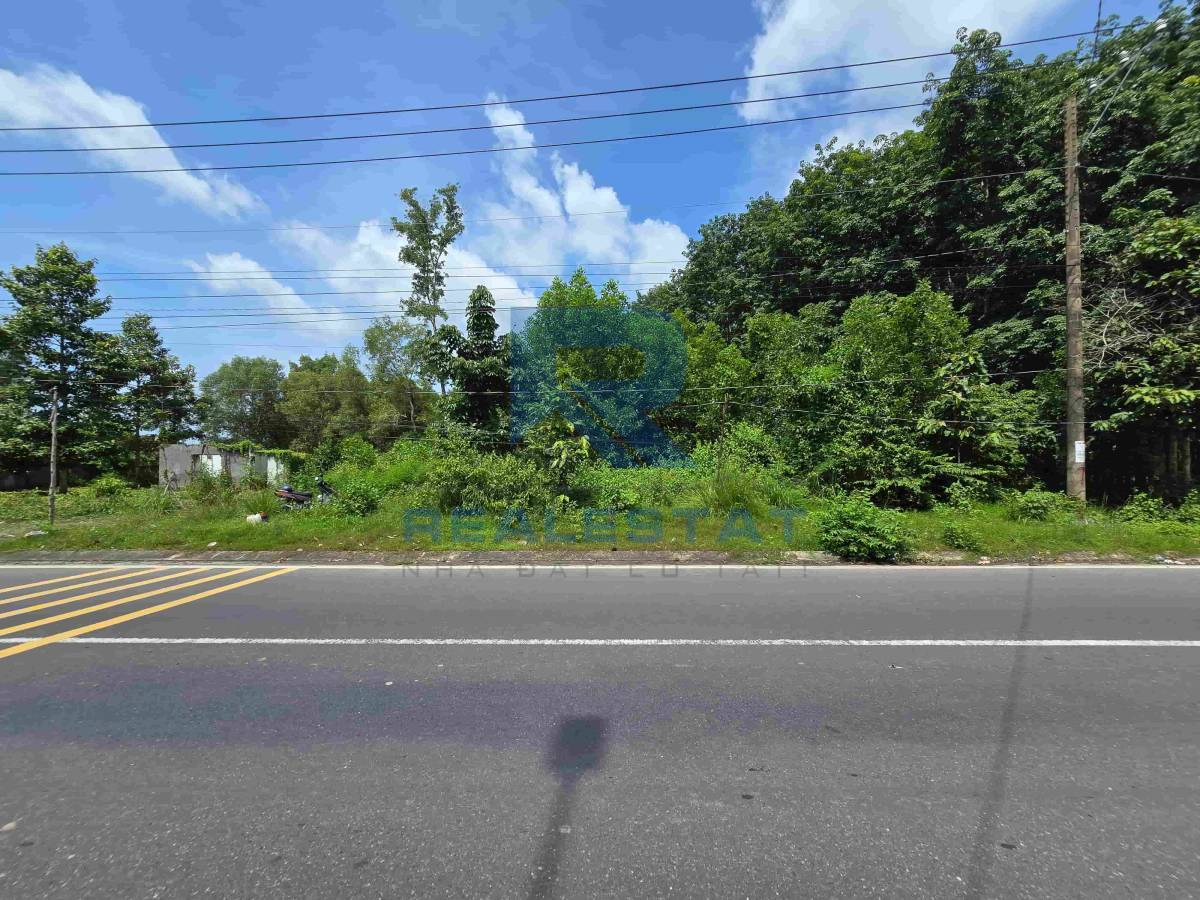 222m2 Đất Mặt Tiền Đ.Nguyễn Hữu Cảnh Long Tân Cũ Nhơn Trạch - 3.3 Tỷ