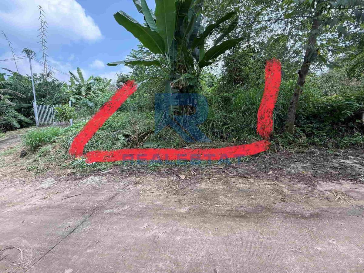 97m2 Đất Cách Ql1a 800m Bàu Hàm 2 Thống Nhất - Giá 800 Triệu