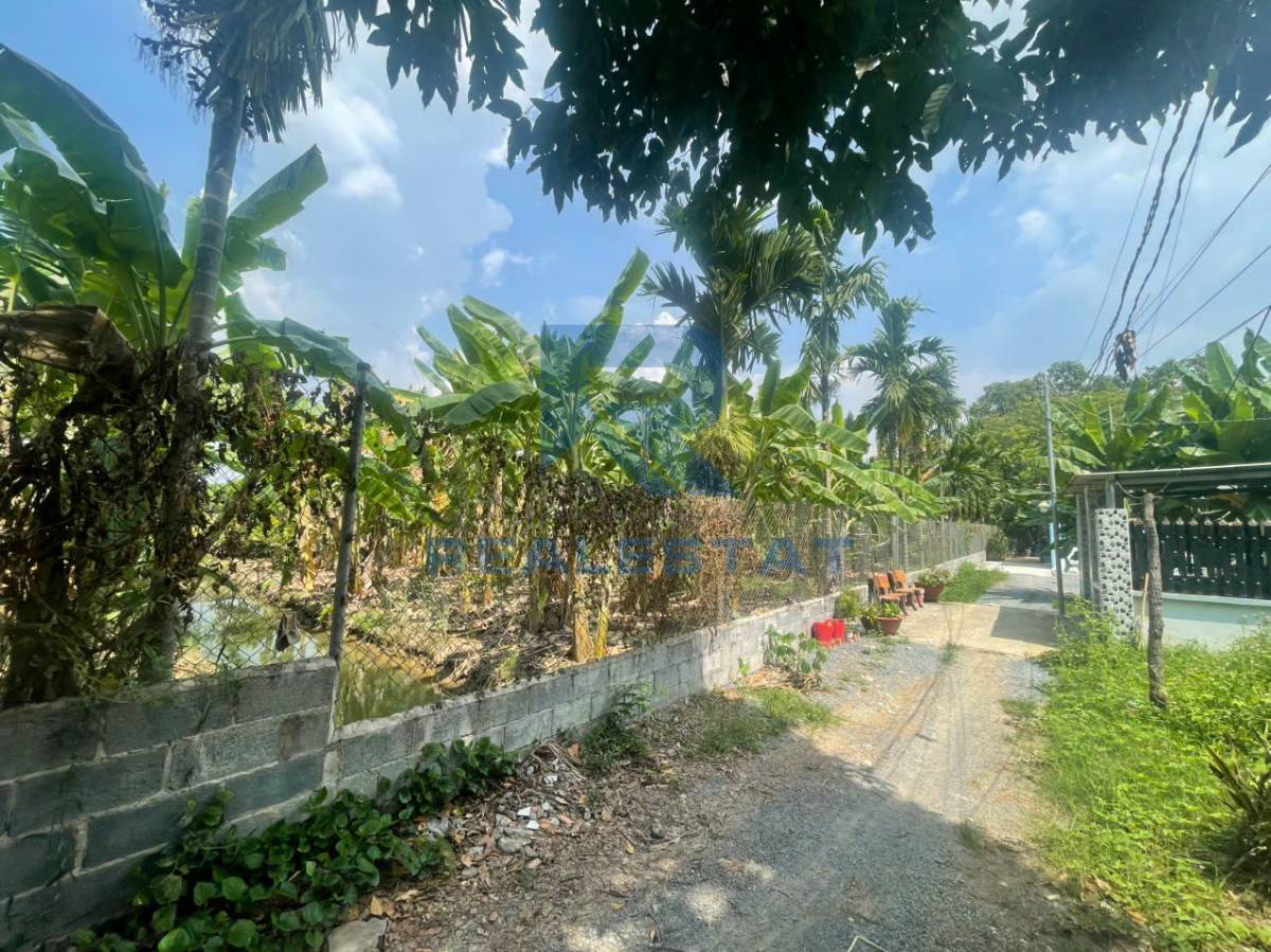 1500m2 Đất Lúa Cách Đ.Bình Hòa Cây Dương P.Tân Bình Vĩnh Cửu 100m