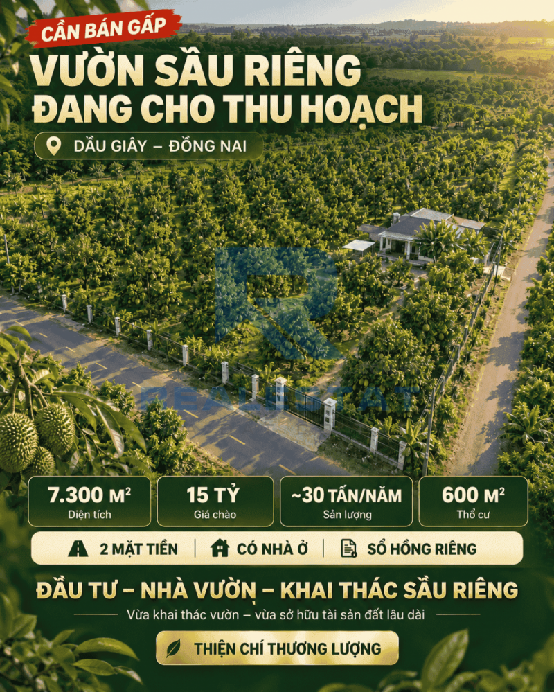 7300m2 Đất Vườn Sầu Riêng Dầu Giây Thống Nhất Cũ - 15 Tỷ